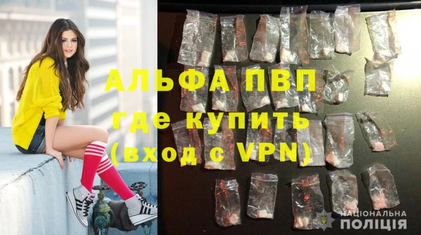 спайс Белокуриха