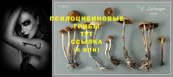 стафф Беломорск