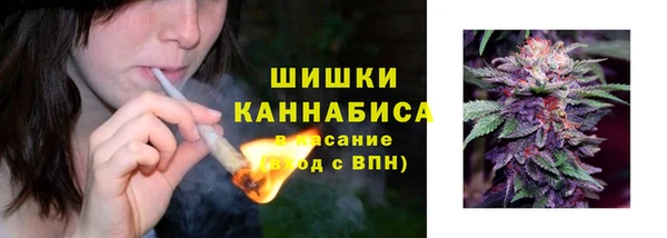 спиды Аркадак