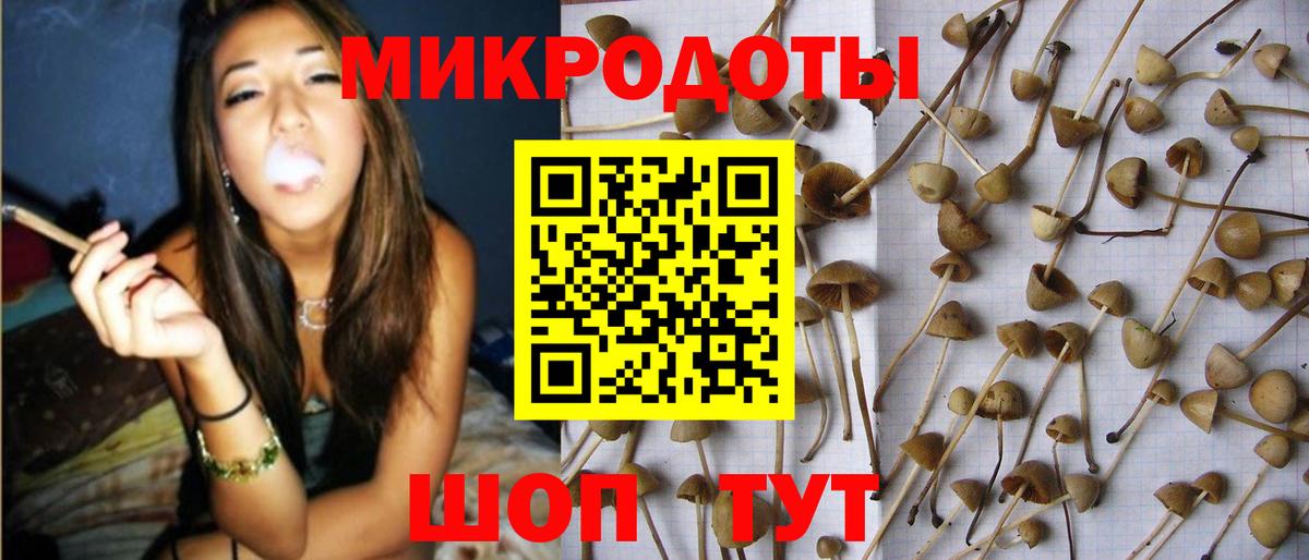 Борисоглебск  Псилоцибиновые грибы Cubensis  Псилоцибиновые грибы Psilocybine cubensis  продажа наркотиков  Вход с VPN 